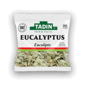 Eucalyptus