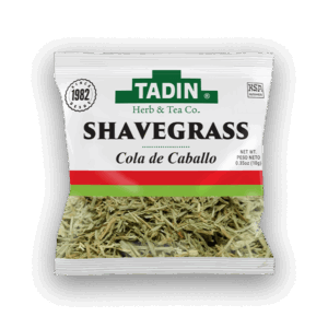 Shavegrass